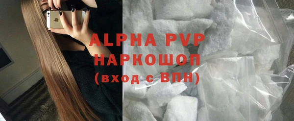 молекула духа Бородино