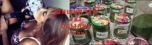 ешки Верхний Тагил