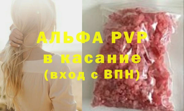 молекула духа Бородино