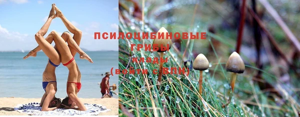 ешки Верхний Тагил