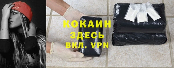 гашик Верея