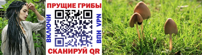 Галлюциногенные грибы MAGIC MUSHROOMS  Юрюзань 